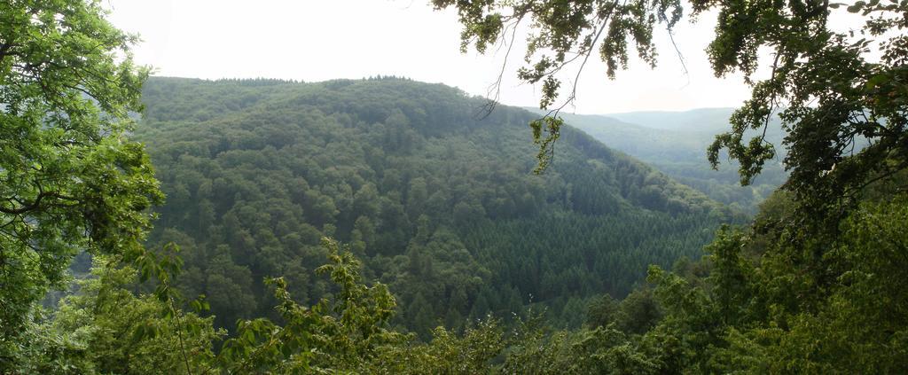 Landhotel Westerwald Ehlscheid Dış mekan fotoğraf